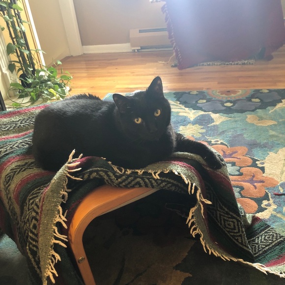 Meet your Posher, Maureen mackey - Picture 1 of 8